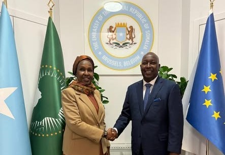 Somali rights leaders meet in Brussels to boost cooperation on Human Rights and Peacebuilding