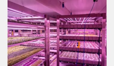 Horticoop to host vertical farming deep dive at Growy Amsterdam