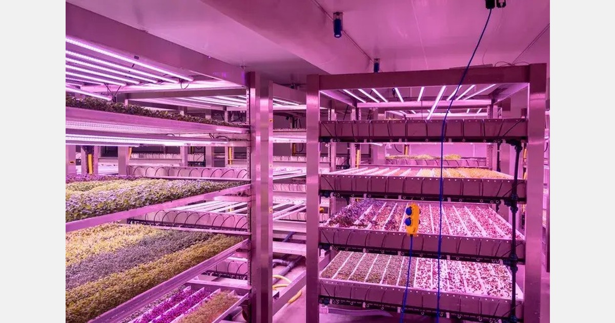 Horticoop to host vertical farming deep dive at Growy Amsterdam