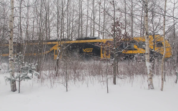 passengers doubt the reliability of “Vivi” in winter