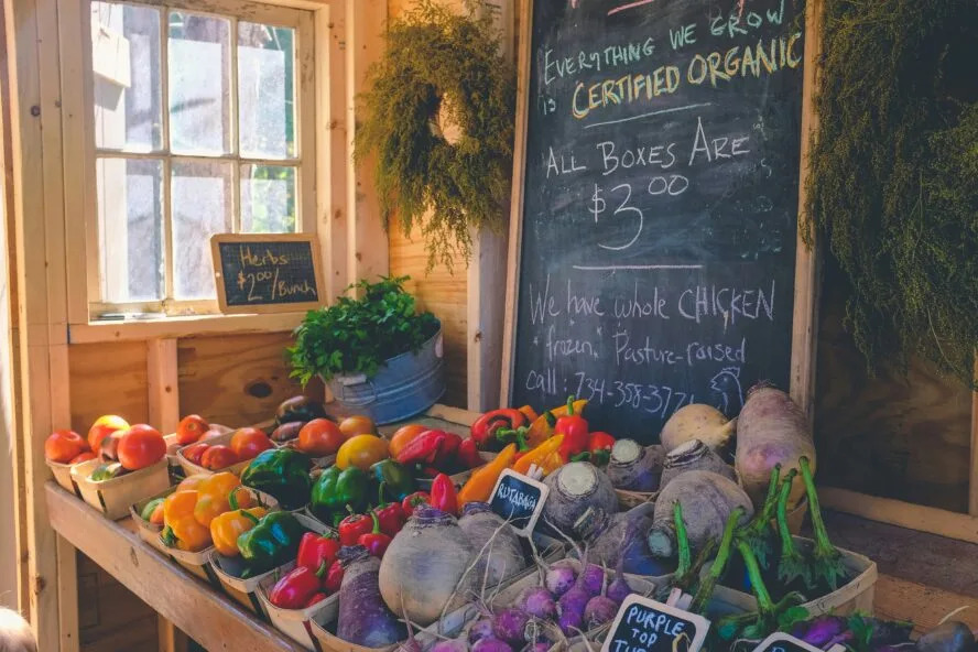 Eco Travel organic food kenny eliason unsplash
