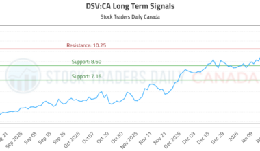 (DSV) Trading Performance and Risk Management