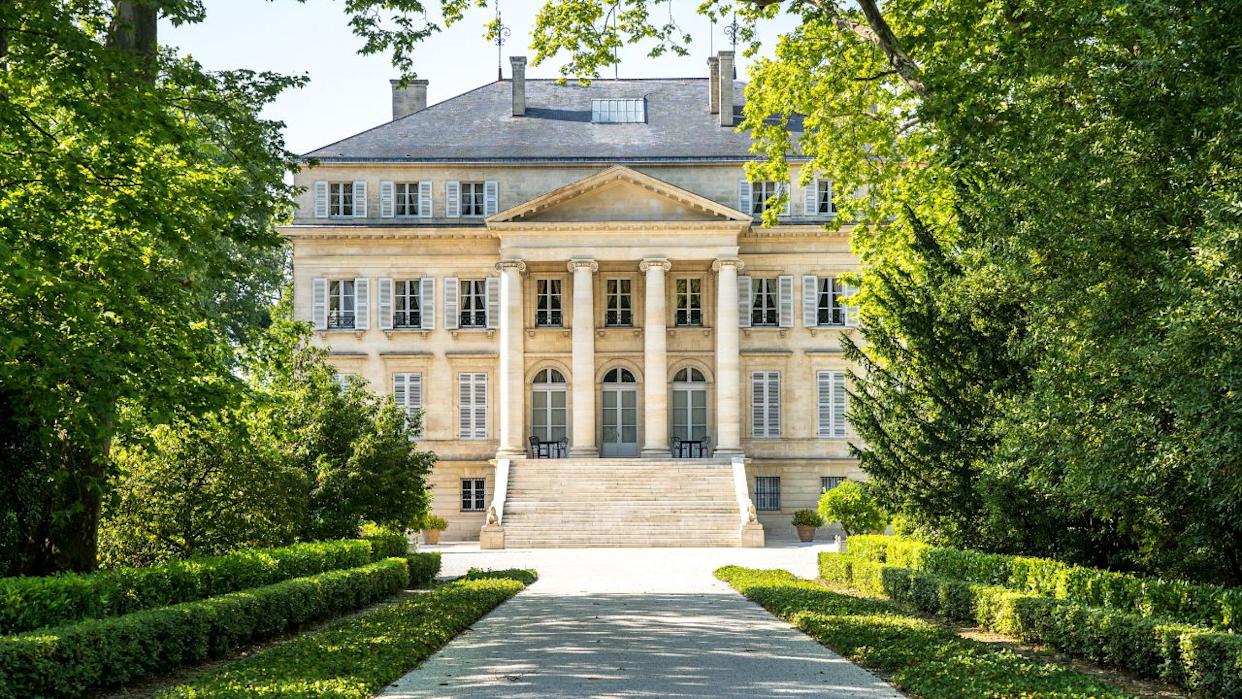 Chateau Margaux in the tree tunnel, Bordeaux, France