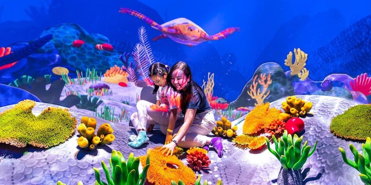 Investissement Québec | immersive showcase Brussels