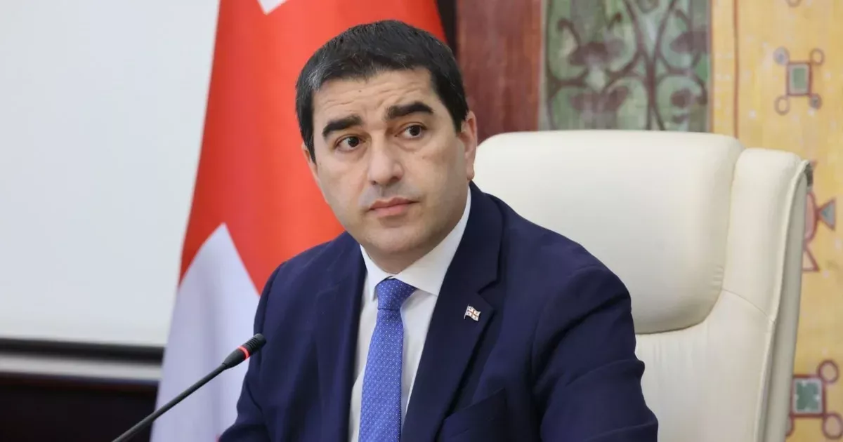Georgian speaker says Brussels must repair damaged EU ties