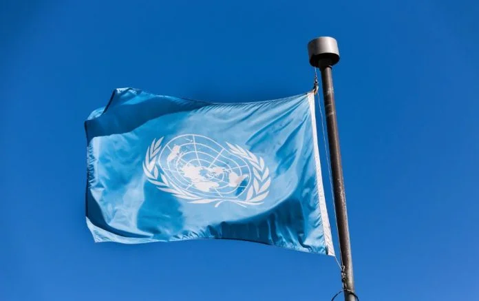 UN rights rapporteur to monitor trial of Turkish women’s rights advocate