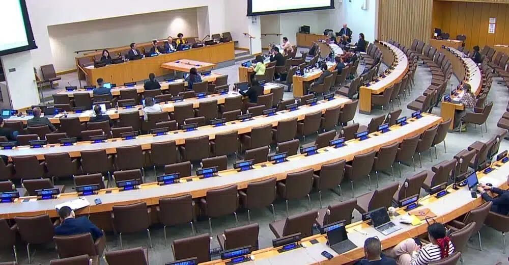 Turkey among repressive states poised to control UN NGO access, rights advocates warn