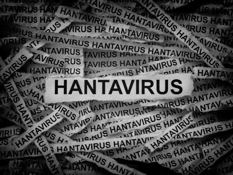 Hantavirus header