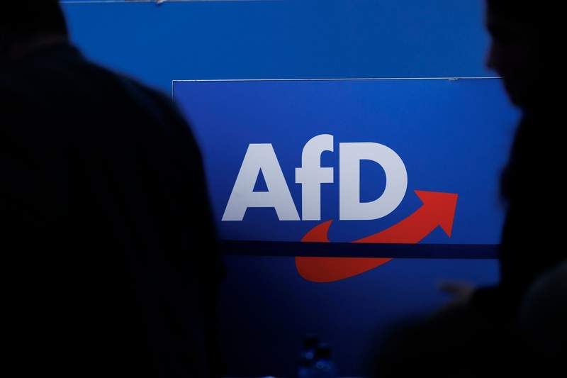 Brussels watchdog reviews AfD's EU party over values concern