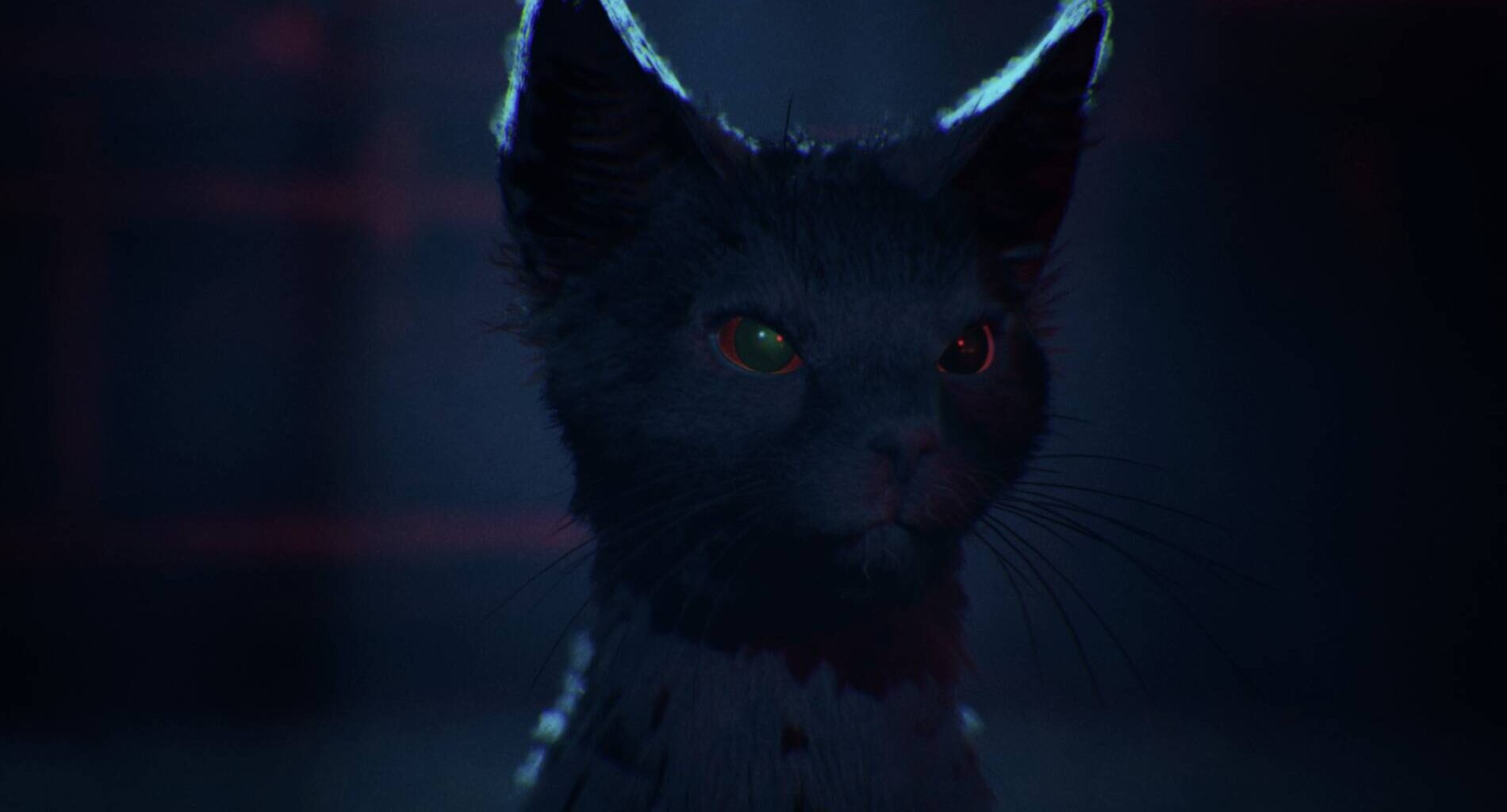spot_img