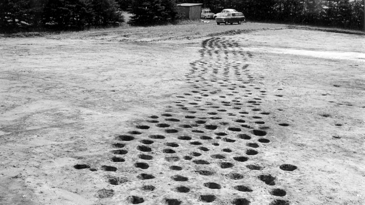 The Grønbæk hole belt in Ringkøbing-Skjern was among the first to be found in the 1960s, when archaeologists first noticed this phenomenon. Credit: Ringkøbing-Skjern Museum