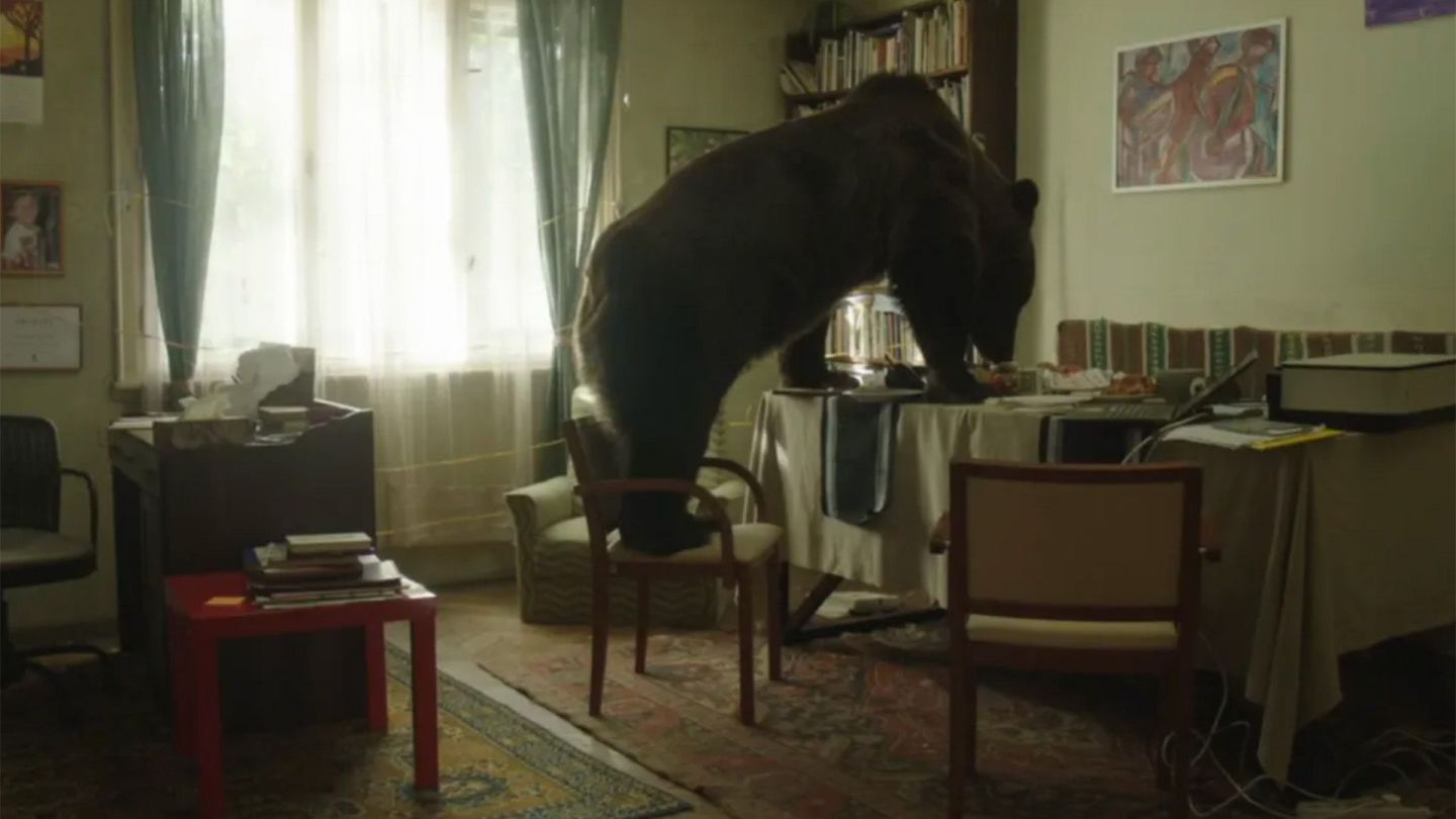 Cancer, Bear, Motherhood Feature in Tallinn POFF Short Film Winners