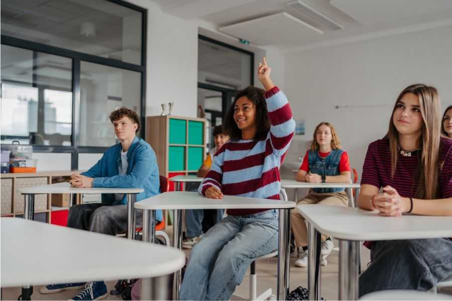 Gen Z is the first generation less cognitively capable than their parents but Denmark has a solution