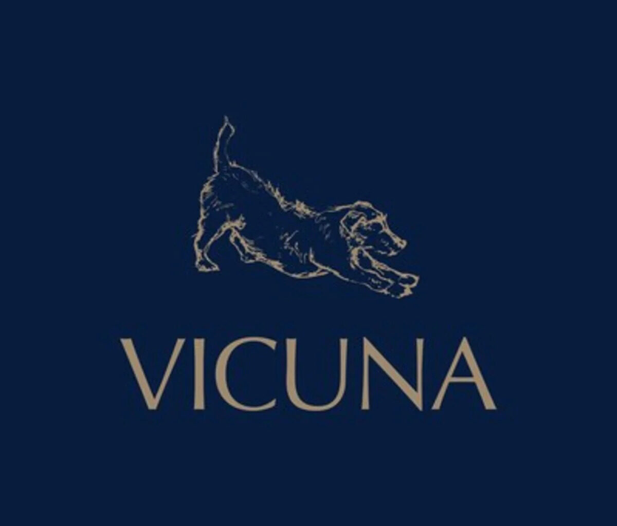 Vicuna Air expands In-Cabin Pet Flights to Amsterdam, Frankfurt, and Brussels