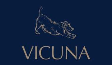 Vicuna Air expands In-Cabin Pet Flights to Amsterdam, Frankfurt, and Brussels