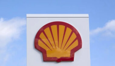 The Zacks Analyst Blog Highlights Shell, Novo, SAP, Rave and Vaso