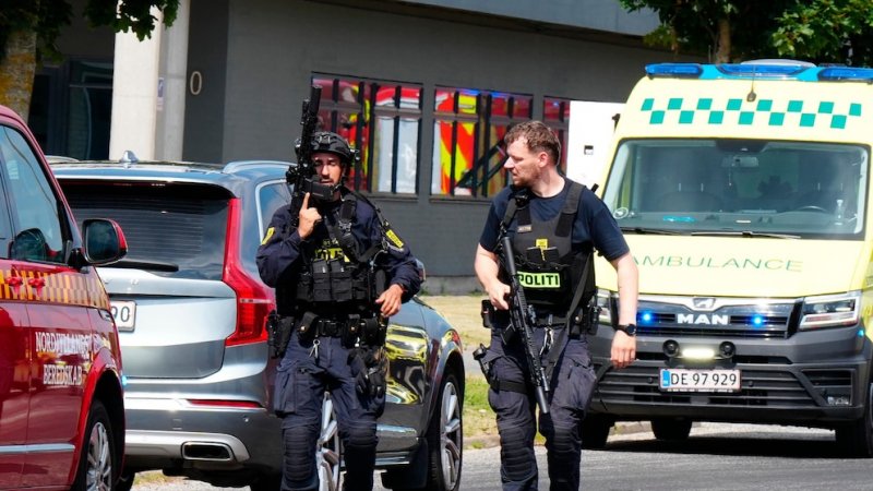 What happened in the deadly police shooting incident in Denmark?