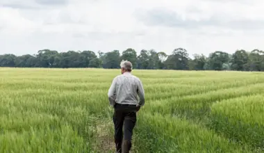 Carlsberg Denmark Makes "Significant and Committed Shift" for Regenerative Crops