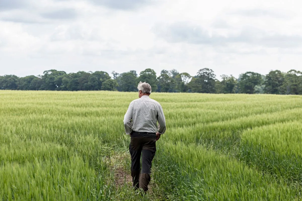 Carlsberg Denmark Makes "Significant and Committed Shift" for Regenerative Crops
