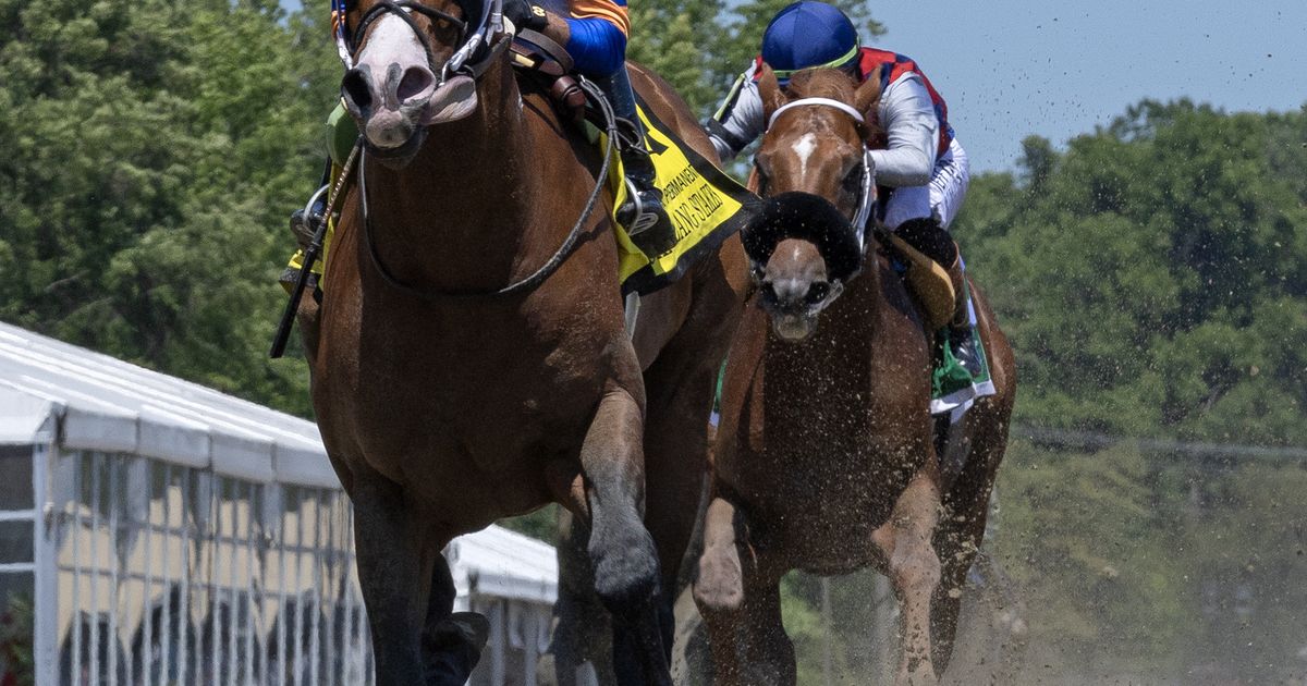 Obliteration poised to give Asmussen seventh Amsterdam win