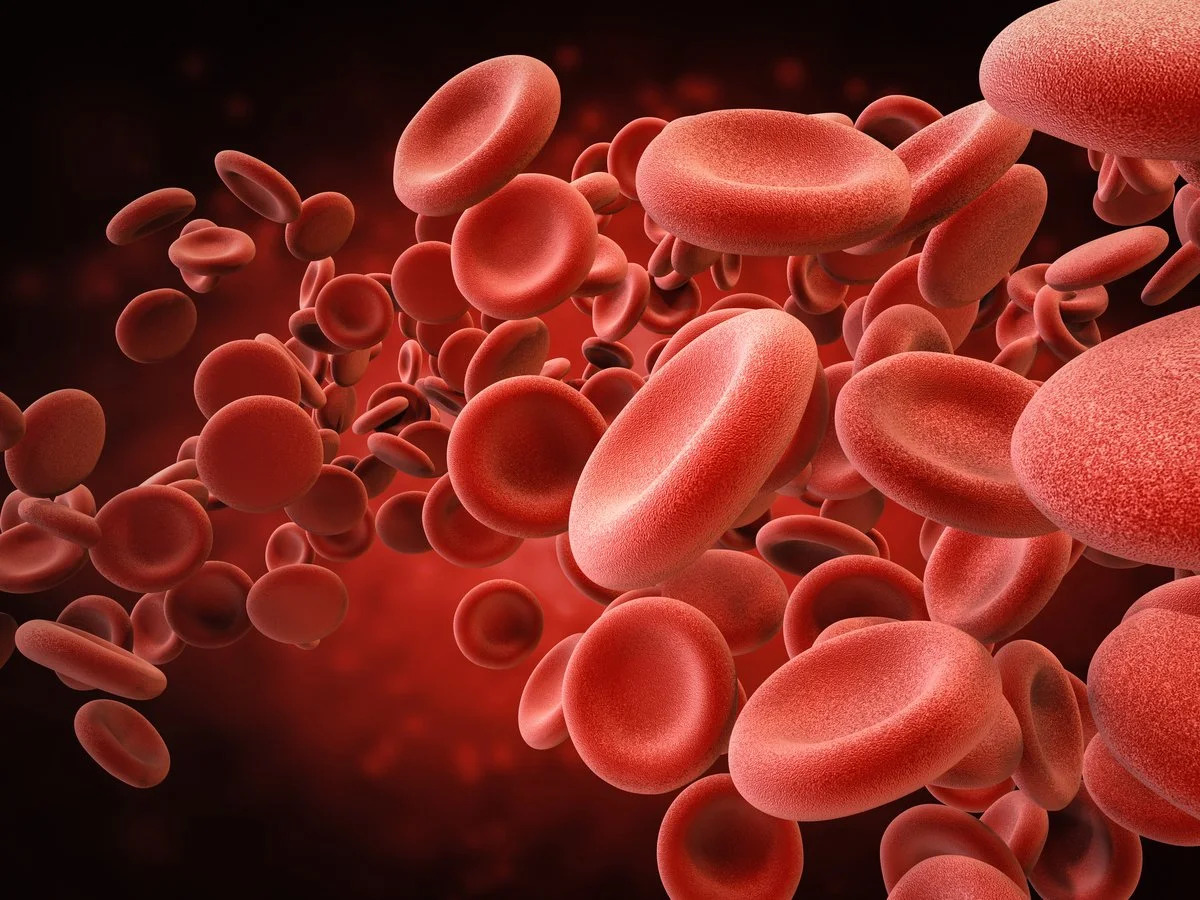 Here's Why Shares in Novo Nordisk Rival, Agios Pharmaceutical, Soared This Week