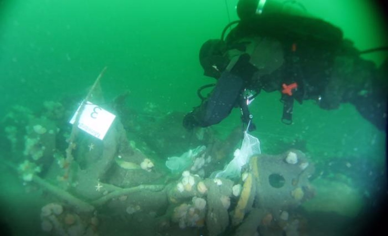 A diver examines underwater structures covered in marine life and a numbered identification tag.