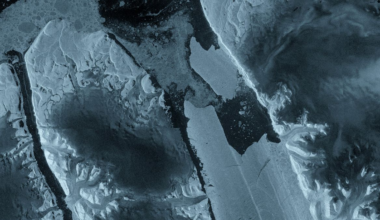 Satellite sees Greenland's most significant floating ice loss in over a decade