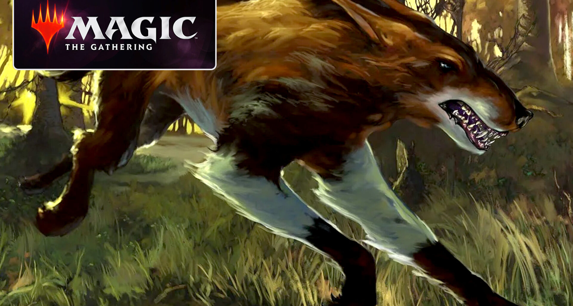 Why this MTG format exploded in popularity almost 15 years after it was invented