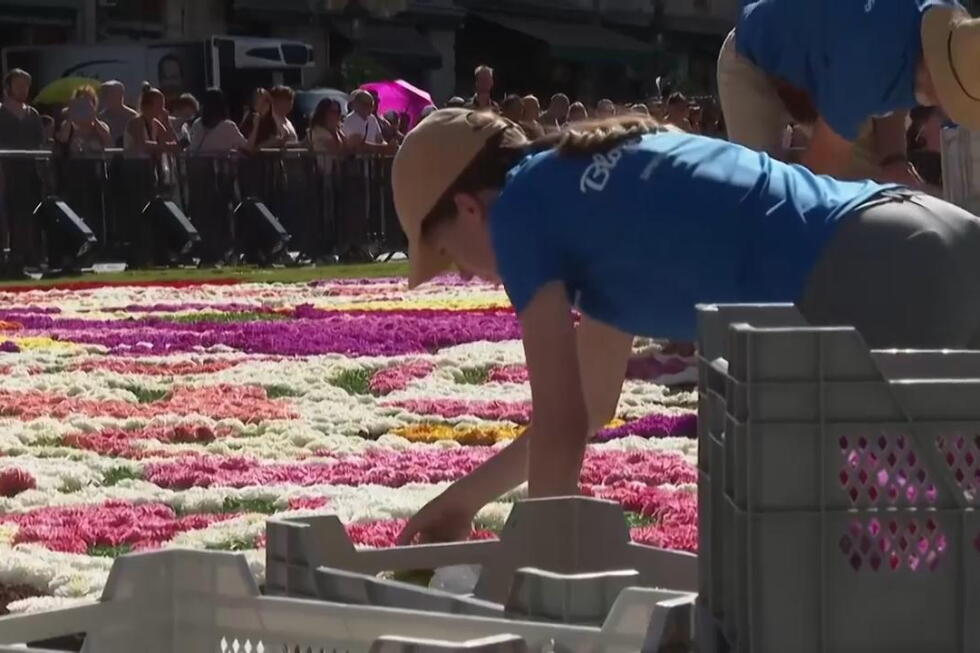 Grand-Place in Brussels blooms into a giant Japanese-inspired flower carpet