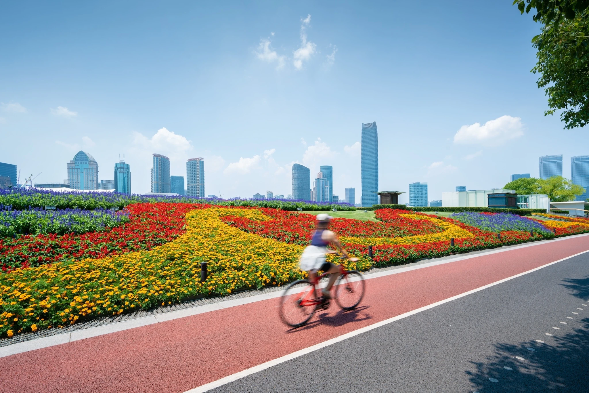 Cyclist in Shanghai