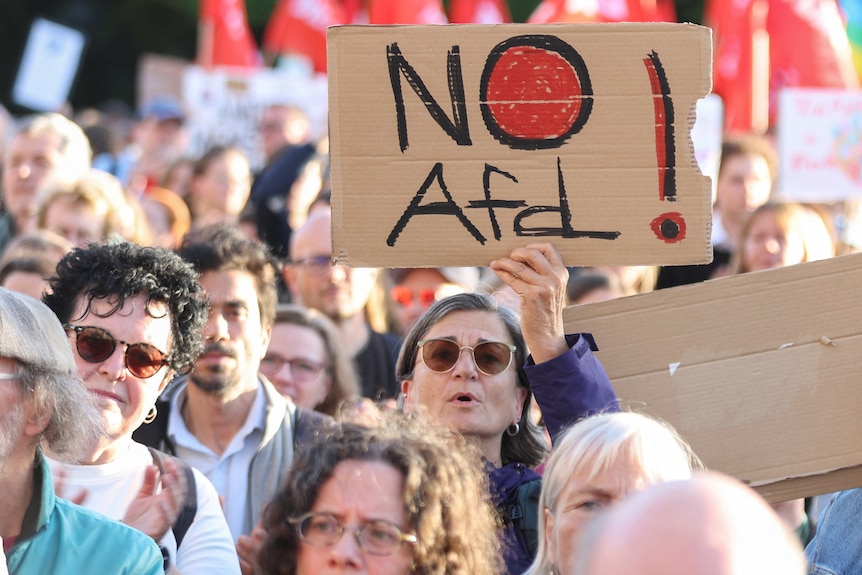 Protesters of AfD.