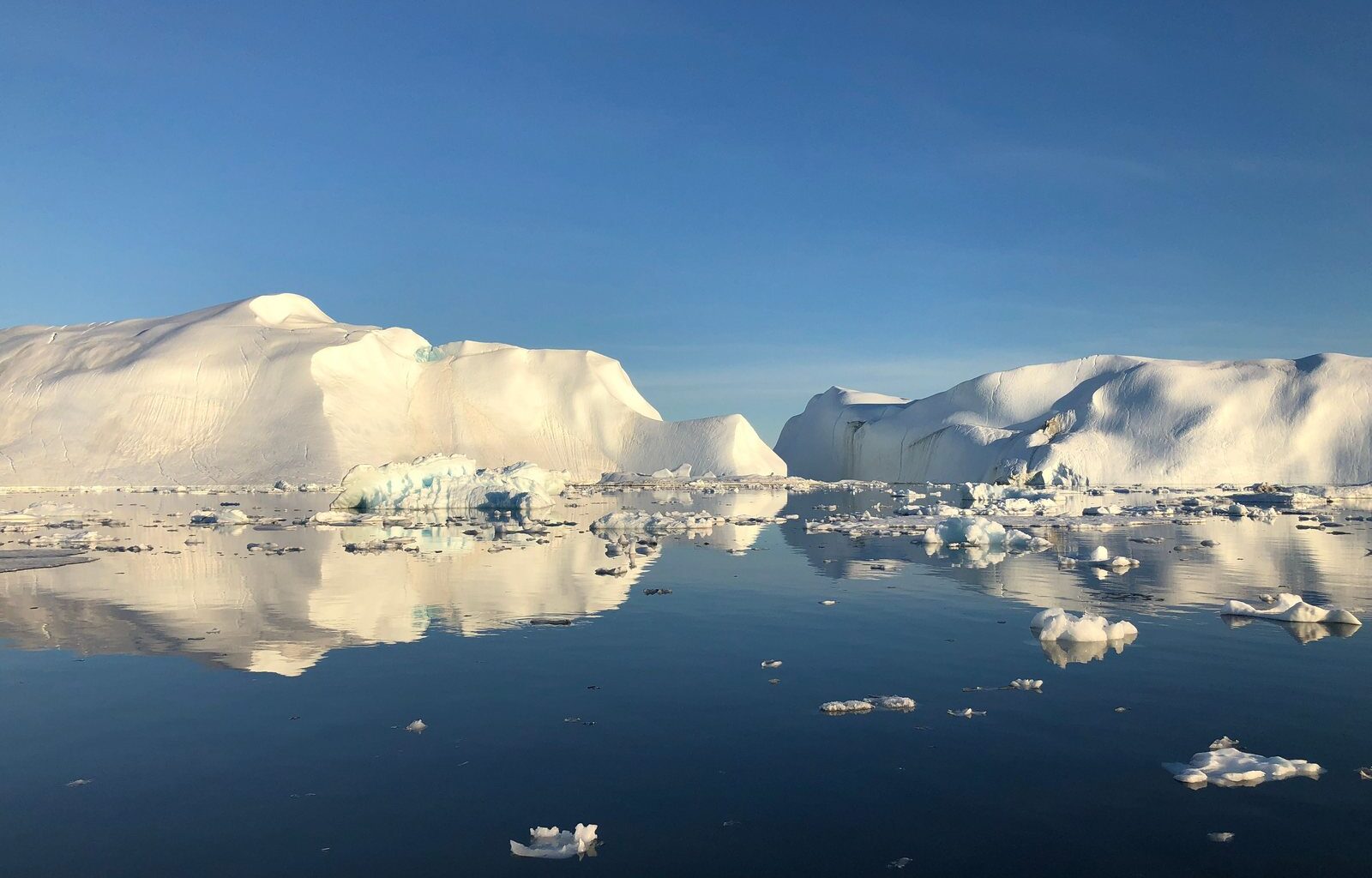 Icebergs reflected in calm water in the Ilulissat Icefjord, Greenland