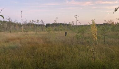Mäetagusel vaidlesid kohalikud ja riigiesindajad Alutaguse rahvuspargi üle | Eesti
