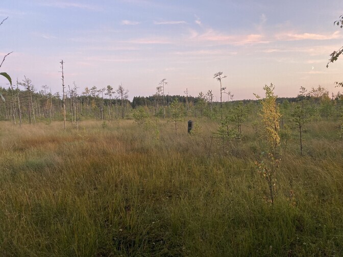 Mäetagusel vaidlesid kohalikud ja riigiesindajad Alutaguse rahvuspargi üle | Eesti