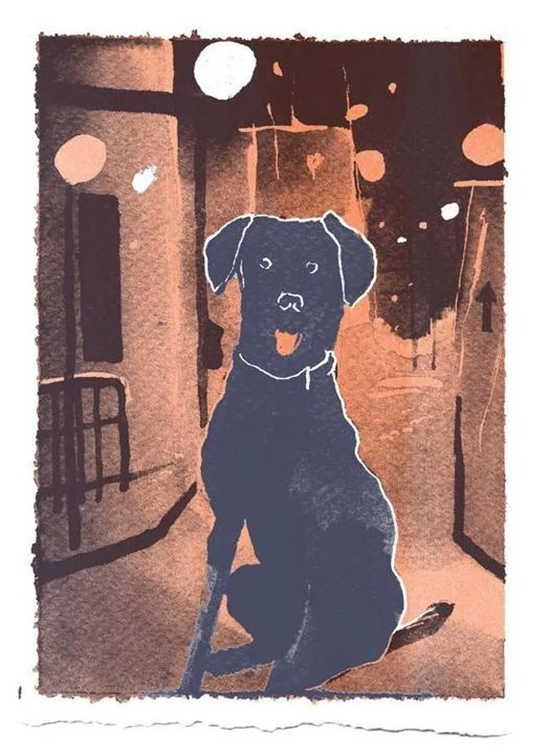 Marja-Liisa Platsi illustratsioon Reeli Reinausi raamatule «Morten, Emilie ja kadunud maailmad».