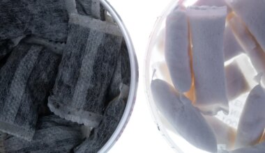 FDA plaanib nikotiinipadjad lihtsamini turule lubada