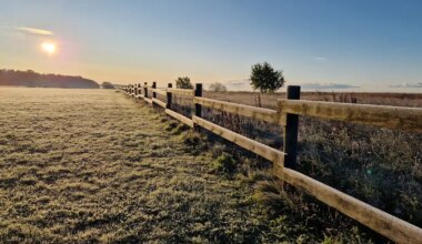 NÄDALA ILMAPROGNOOS ⟩ Rehekuu algab madalate õhutemperatuuridega - Pärnu Postimees