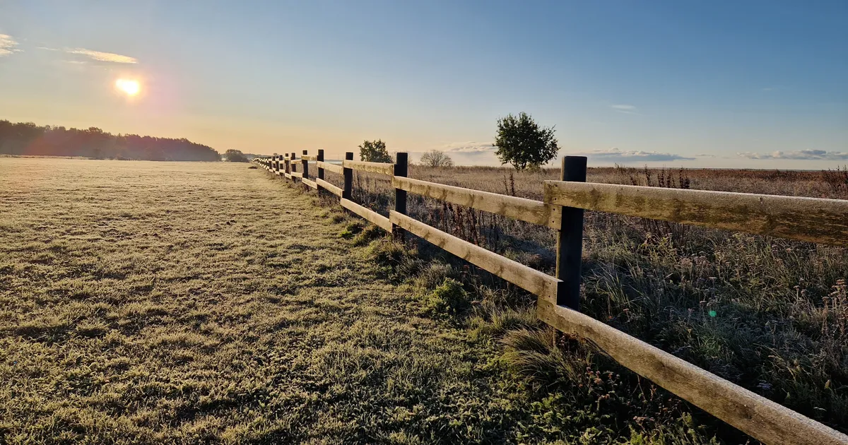 NÄDALA ILMAPROGNOOS ⟩ Rehekuu algab madalate õhutemperatuuridega - Pärnu Postimees