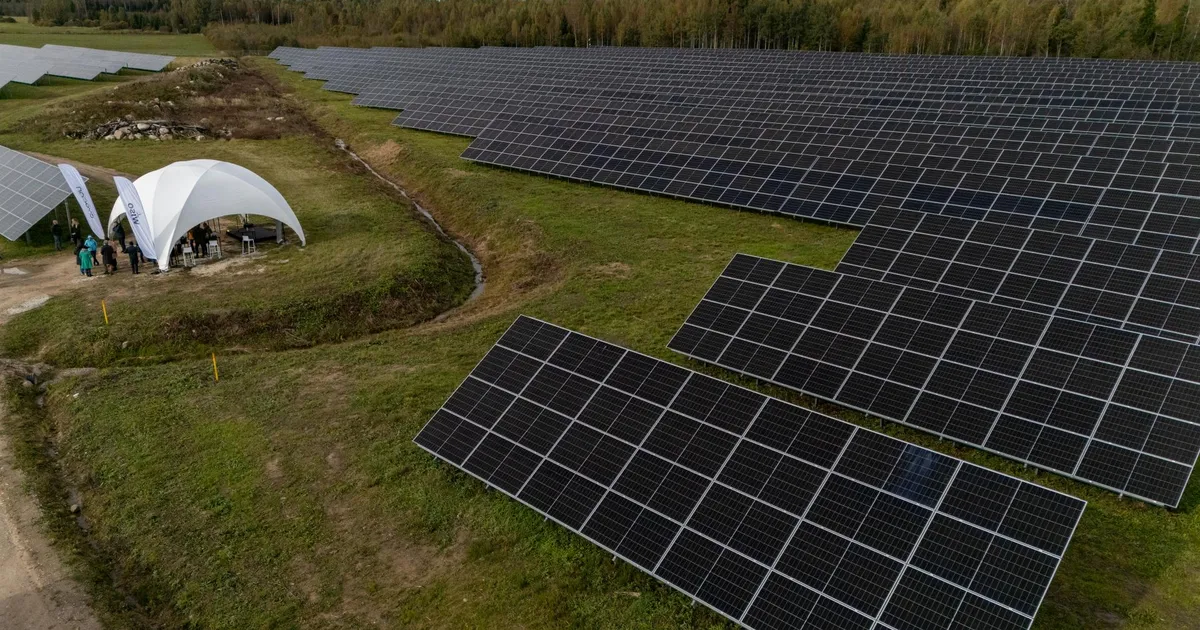 Toorainekaupleja: Eesti peaks kohe lõpetama toetused päikese- ja tuuleenergiale