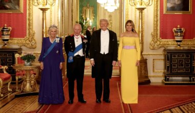 mis värvi on Melania Trumpi õhtukleidi vöö?