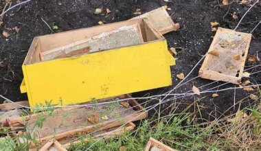 FOTOD ⟩ «Nii hullu pilti pole varem näinud!» Karu tekitas mesinikule märkimisväärse kahju