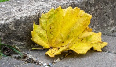 Täna käänatakse päevale mustem pool peale