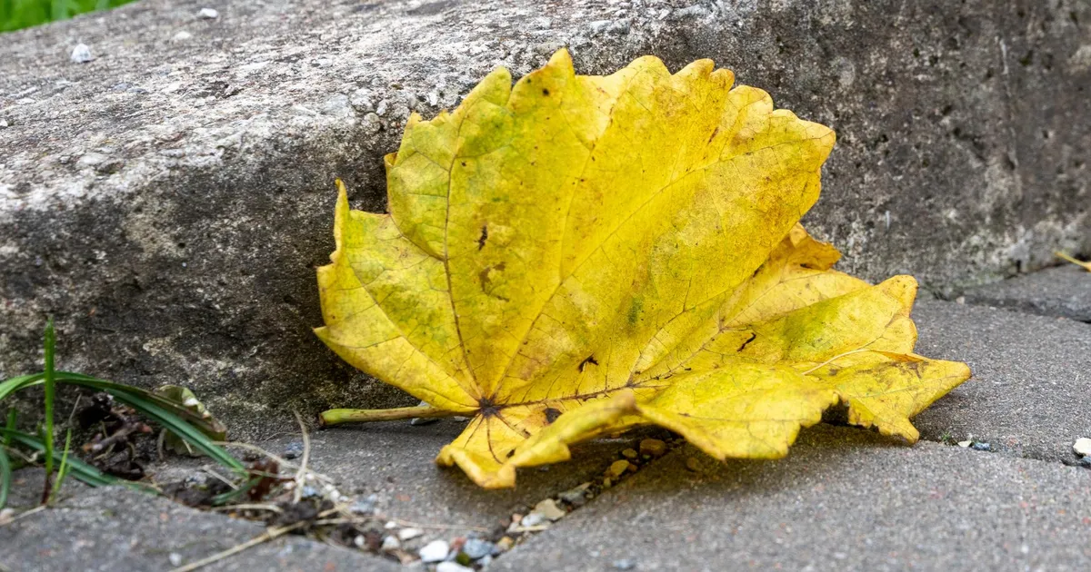 Täna käänatakse päevale mustem pool peale