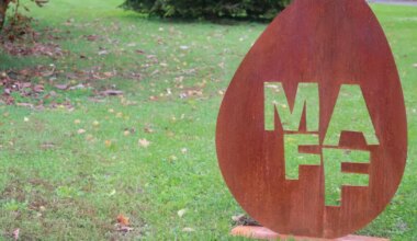 KOMMENTAAR ⟩ Lihulas näeb väärt loodusfilme