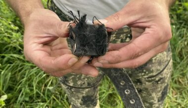 Viljandimaal murdis hunt päise päeva ajal koera