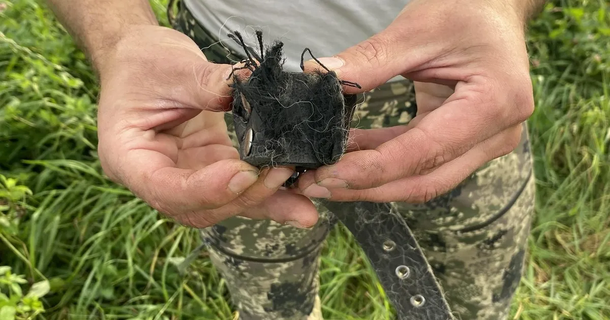 Viljandimaal murdis hunt päise päeva ajal koera