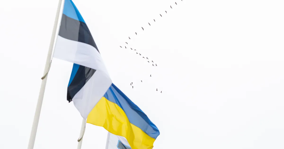 Eesti toetab Ukrainat kümne miljoni euroga