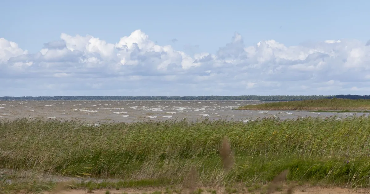 Võrtsjärvel paadiga ümber läinud mehed pääsesid külmast veest tänu appi tõtanud kalurile