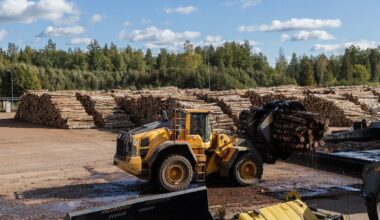 Värske uuring: Vene puit jõuab UK turule – ka Eesti kaudu