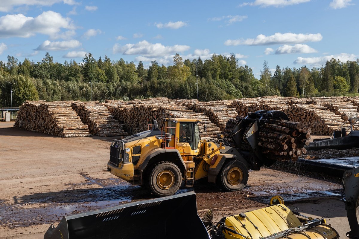 Värske uuring: Vene puit jõuab UK turule – ka Eesti kaudu